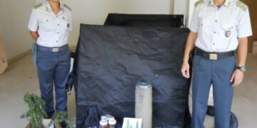 Coltivava marijuana in casa, denunciato giovane lametino