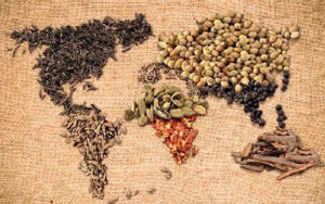 Giornata mondiale dell’Alimentazione