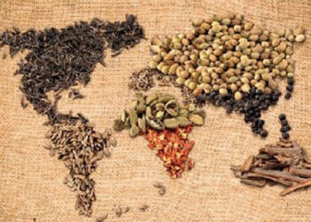 Giornata mondiale dell’alimentazione, istituto ‘Pitagora-Calvosa’ aderisce