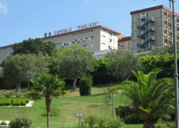 Ospedale Pugliese, lite tra operatori sanitari nel reparto di Chirurgia Pediatrica
