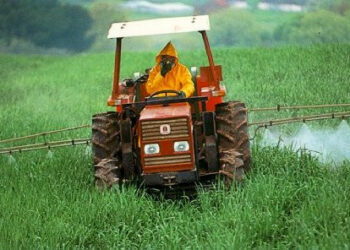 Provincia Crotone riattiva corso per patentino fitosanitario