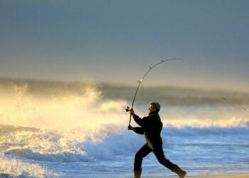 Gara pesca, Lega Anti Vivisezione dice no al surfcasting di Zambrone