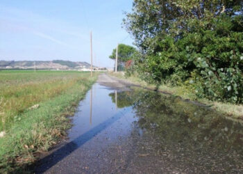 Crotone, allagamenti in via Lacinio: cittadini segnalano guasto