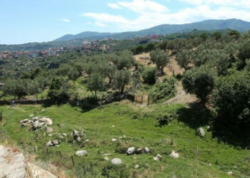 Progetti Intergrati Aree Rurali, 3 milioni per l’alto crotonese