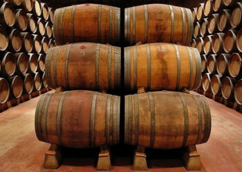 Dall’olio ai vini a Rende i ‘Tini di San Martino 2013’