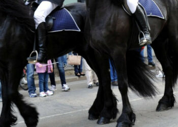 Cavalli al trotto per Ciro’ Marina, un ferito