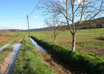 Consorzi bonifica, M5S Cosenza a Regione: modificare la legge