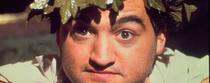 E’ di nuovo Animal House