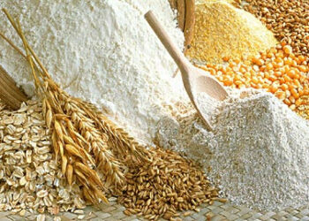 Dal grano alla farina, giornata sociale a Casabona