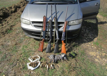 Controlli venatori, sequestri nelle province di Crotone e Catanzaro