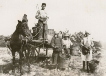 Ritorna la Festa della vendemmia prevista per domenica 13 ottobre