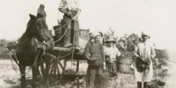 Ritorna la Festa della vendemmia prevista per domenica 13 ottobre