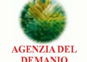 Concorso all’Agenzia del Demanio, nuove assunzioni a Tempo Indeterminato