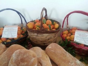 Clementine di Corigliano al convegno Manziana