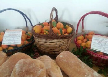 Le clementine di Corigliano protagoniste di un seminario nazionale