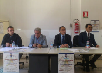 Protezione Civile Calabria rischia di diventare una ‘Societa”