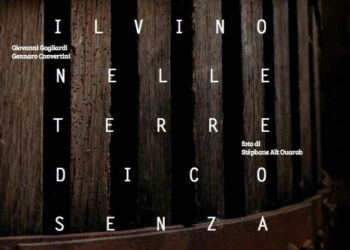 Presentazione del libro ‘Il vino nelle terre di Cosenza’