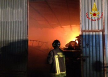 Incendio in due fienili a Pallagorio e Cutro, morti 16 vitelli