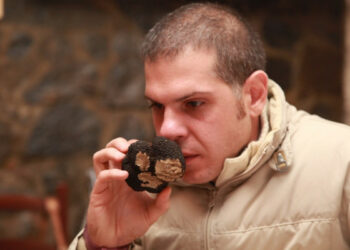 Tartufo Pollino, far partire la ricerca