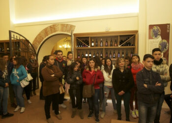 Avviati incontri didattici all’Enoteca Regionale cosentina