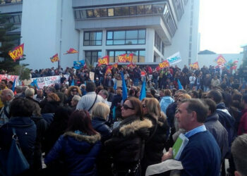 Lsu-Lpu manifestano davanti Palazzo Campanella