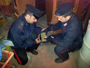 Marijuana sequestrata