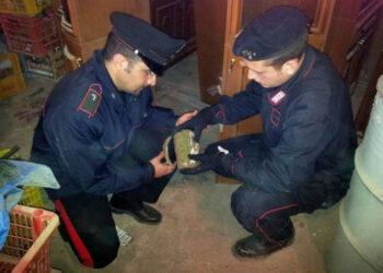 Marijuana in camera da letto, commerciante 34enne arrestato