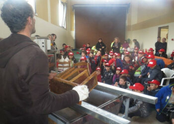 Mesoraca, visita guidata alla scoperta del miele