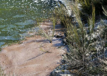 Alaco, il lago dei veleni: De Masi vuole chiarezza