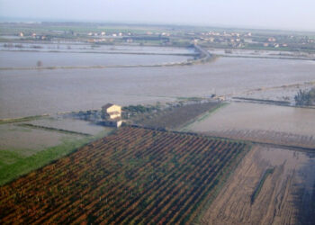 Esondazioni, danni strutturali ai vigneti nel cirotano