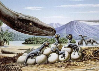 Mostre, al via ‘La marcia dei dinosauri’ a Sant’Agata d’Esaro