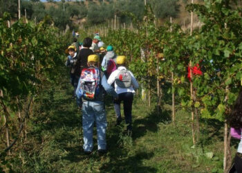 Al via le visite guidate nelle fattorie del crotonese