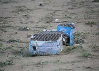 Ragazzi feriti da esplosione petardo a Girifalco, due denunce