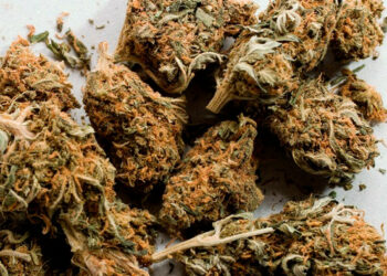 Conservava in un casolare 2,7 chili di marijuana, in manette 29enne