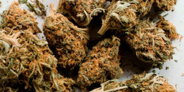 Conservava in un casolare 2,7 chili di marijuana, in manette 29enne