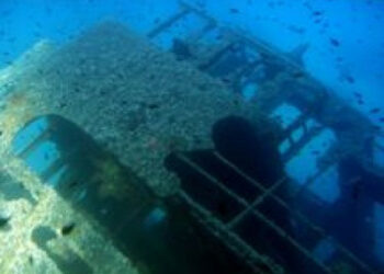 Dichiarazioni Schiavone, M5S: riaprire caso nave veleni