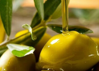 A Cotronei per degustare l’olio novello