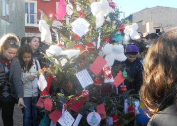 L’albero della legalita’ a Cirò