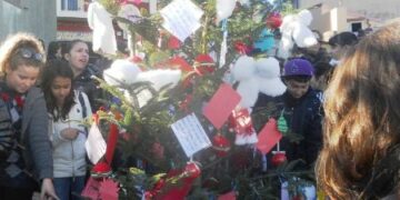 L’albero della legalita’ a Cirò