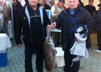 Una cernia da 11,8 kg pescata al ‘Trofeo Geremicca’