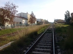 Binari ed erbacce (dic2013)