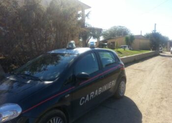Isola: rubava energia elettrica, arrestato imprenditore agricolo