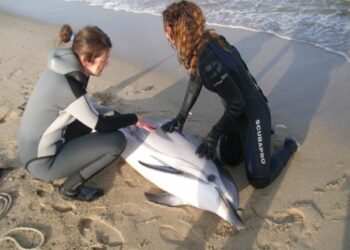 La biologa marina Madeo incanta i liceali di Cariati