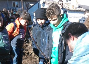 Festa dell'albero 2013 a San Giovanni in Fiore (1)