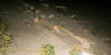 Tagliavano legna illegalmente, denunciati tre crucolesi