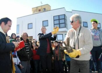 Liberati due rapaci a Calopezzati