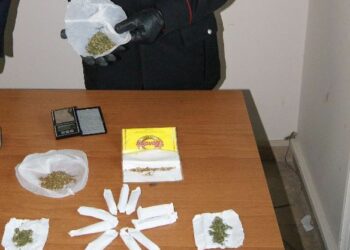 Marijuana nel pollaio, arrestato muratore a Isola Capo Rizzuto