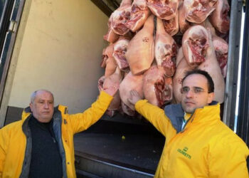 Valico Brennero, Coldiretti: ecco i prosciutti che ‘diventano’ italiani