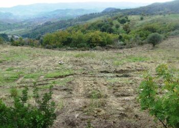 Primi passi verso la costruzione del parco eolico di Ciro’