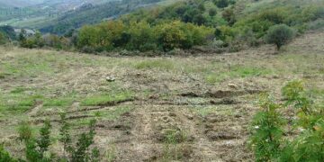 Primi passi verso la costruzione del parco eolico di Ciro’